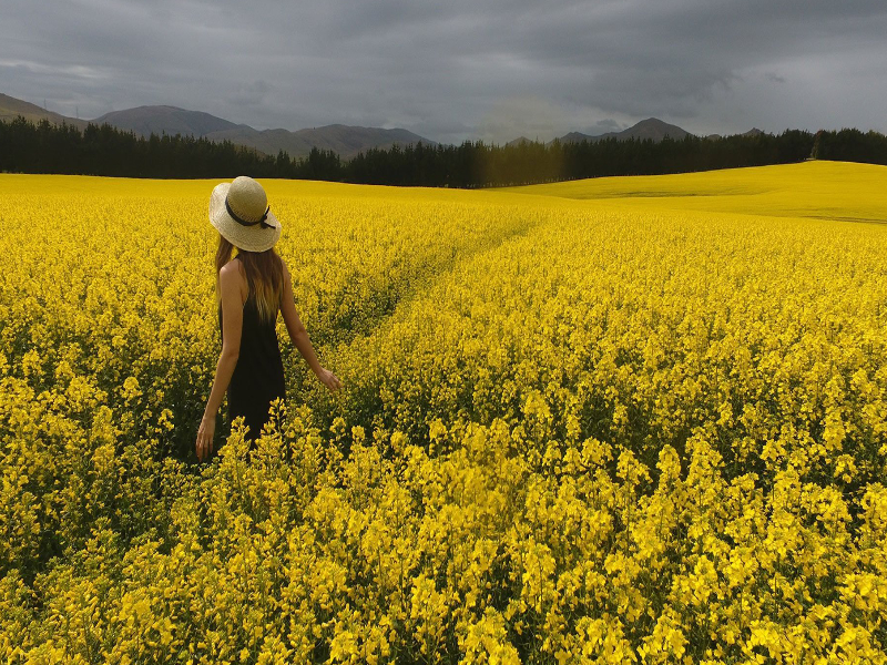 Don’t Let Language Hold You Back